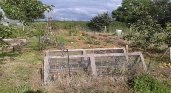 allotments